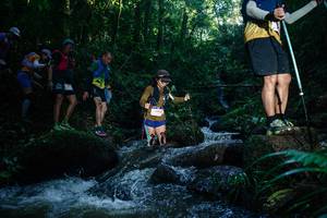 BIB: 
                            <button type="button" onclick="openModal(26778661)" class="btn btn-primary btn-sm float-right btn-popup" data-toggle="modal" data-target=".modal-high-quality">
                        <i class="fas fa-shopping-cart"></i> Add to Cart
                    </button>
                                            <button type="button" onclick="isThisMe(26778661, true)" class="btn btn-success btn-sm float-right btn-popup btn-isme hidden" data-toggle="tooltip" data-placement="bottom" title="นี่คือรูปของคุณใช่ไหม คลิกที่นี่เพื่อเอาเข้าอัลบั้ม">
                        <i class="fas fa-plus"></i> Add to album
                    </button>
                    <button type="button" onclick="isThisMe(26778661, false)" class="btn btn-warning btn-sm float-right btn-popup btn-isnotme hidden">
                        <i class="fas fa-ban"></i> Remove from album
                    </button>