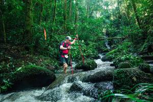 BIB: 
                            <button type="button" onclick="openModal(26780748)" class="btn btn-primary btn-sm float-right btn-popup" data-toggle="modal" data-target=".modal-high-quality">
                        <i class="fas fa-shopping-cart"></i> Add to Cart
                    </button>
                                            <button type="button" onclick="isThisMe(26780748, true)" class="btn btn-success btn-sm float-right btn-popup btn-isme hidden" data-toggle="tooltip" data-placement="bottom" title="นี่คือรูปของคุณใช่ไหม คลิกที่นี่เพื่อเอาเข้าอัลบั้ม">
                        <i class="fas fa-plus"></i> Add to album
                    </button>
                    <button type="button" onclick="isThisMe(26780748, false)" class="btn btn-warning btn-sm float-right btn-popup btn-isnotme hidden">
                        <i class="fas fa-ban"></i> Remove from album
                    </button>