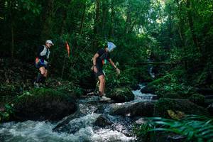 BIB: 
                            <button type="button" onclick="openModal(26773578)" class="btn btn-primary btn-sm float-right btn-popup" data-toggle="modal" data-target=".modal-high-quality">
                        <i class="fas fa-shopping-cart"></i> Add to Cart
                    </button>
                                            <button type="button" onclick="isThisMe(26773578, true)" class="btn btn-success btn-sm float-right btn-popup btn-isme hidden" data-toggle="tooltip" data-placement="bottom" title="นี่คือรูปของคุณใช่ไหม คลิกที่นี่เพื่อเอาเข้าอัลบั้ม">
                        <i class="fas fa-plus"></i> Add to album
                    </button>
                    <button type="button" onclick="isThisMe(26773578, false)" class="btn btn-warning btn-sm float-right btn-popup btn-isnotme hidden">
                        <i class="fas fa-ban"></i> Remove from album
                    </button>