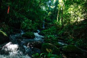 BIB: 
                            <button type="button" onclick="openModal(26697086)" class="btn btn-primary btn-sm float-right btn-popup" data-toggle="modal" data-target=".modal-high-quality">
                        <i class="fas fa-shopping-cart"></i> Add to Cart
                    </button>
                                            <button type="button" onclick="isThisMe(26697086, true)" class="btn btn-success btn-sm float-right btn-popup btn-isme hidden" data-toggle="tooltip" data-placement="bottom" title="นี่คือรูปของคุณใช่ไหม คลิกที่นี่เพื่อเอาเข้าอัลบั้ม">
                        <i class="fas fa-plus"></i> Add to album
                    </button>
                    <button type="button" onclick="isThisMe(26697086, false)" class="btn btn-warning btn-sm float-right btn-popup btn-isnotme hidden">
                        <i class="fas fa-ban"></i> Remove from album
                    </button>