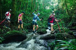 BIB: 
                            <button type="button" onclick="openModal(26780768)" class="btn btn-primary btn-sm float-right btn-popup" data-toggle="modal" data-target=".modal-high-quality">
                        <i class="fas fa-shopping-cart"></i> Add to Cart
                    </button>
                                            <button type="button" onclick="isThisMe(26780768, true)" class="btn btn-success btn-sm float-right btn-popup btn-isme hidden" data-toggle="tooltip" data-placement="bottom" title="นี่คือรูปของคุณใช่ไหม คลิกที่นี่เพื่อเอาเข้าอัลบั้ม">
                        <i class="fas fa-plus"></i> Add to album
                    </button>
                    <button type="button" onclick="isThisMe(26780768, false)" class="btn btn-warning btn-sm float-right btn-popup btn-isnotme hidden">
                        <i class="fas fa-ban"></i> Remove from album
                    </button>