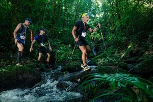 BIB: 
                            <button type="button" onclick="openModal(26772862)" class="btn btn-primary btn-sm float-right btn-popup" data-toggle="modal" data-target=".modal-high-quality">
                        <i class="fas fa-shopping-cart"></i> Add to Cart
                    </button>
                                            <button type="button" onclick="isThisMe(26772862, true)" class="btn btn-success btn-sm float-right btn-popup btn-isme hidden" data-toggle="tooltip" data-placement="bottom" title="นี่คือรูปของคุณใช่ไหม คลิกที่นี่เพื่อเอาเข้าอัลบั้ม">
                        <i class="fas fa-plus"></i> Add to album
                    </button>
                    <button type="button" onclick="isThisMe(26772862, false)" class="btn btn-warning btn-sm float-right btn-popup btn-isnotme hidden">
                        <i class="fas fa-ban"></i> Remove from album
                    </button>