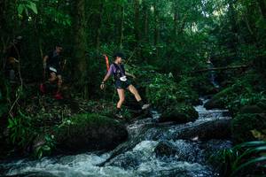 BIB: 
                            <button type="button" onclick="openModal(26774250)" class="btn btn-primary btn-sm float-right btn-popup" data-toggle="modal" data-target=".modal-high-quality">
                        <i class="fas fa-shopping-cart"></i> Add to Cart
                    </button>
                                            <button type="button" onclick="isThisMe(26774250, true)" class="btn btn-success btn-sm float-right btn-popup btn-isme hidden" data-toggle="tooltip" data-placement="bottom" title="นี่คือรูปของคุณใช่ไหม คลิกที่นี่เพื่อเอาเข้าอัลบั้ม">
                        <i class="fas fa-plus"></i> Add to album
                    </button>
                    <button type="button" onclick="isThisMe(26774250, false)" class="btn btn-warning btn-sm float-right btn-popup btn-isnotme hidden">
                        <i class="fas fa-ban"></i> Remove from album
                    </button>