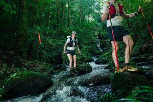 BIB: 
                            <button type="button" onclick="openModal(26780202)" class="btn btn-primary btn-sm float-right btn-popup" data-toggle="modal" data-target=".modal-high-quality">
                        <i class="fas fa-shopping-cart"></i> Add to Cart
                    </button>
                                            <button type="button" onclick="isThisMe(26780202, true)" class="btn btn-success btn-sm float-right btn-popup btn-isme hidden" data-toggle="tooltip" data-placement="bottom" title="นี่คือรูปของคุณใช่ไหม คลิกที่นี่เพื่อเอาเข้าอัลบั้ม">
                        <i class="fas fa-plus"></i> Add to album
                    </button>
                    <button type="button" onclick="isThisMe(26780202, false)" class="btn btn-warning btn-sm float-right btn-popup btn-isnotme hidden">
                        <i class="fas fa-ban"></i> Remove from album
                    </button>