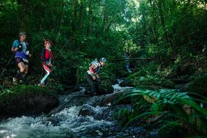 BIB: 
                            <button type="button" onclick="openModal(26772770)" class="btn btn-primary btn-sm float-right btn-popup" data-toggle="modal" data-target=".modal-high-quality">
                        <i class="fas fa-shopping-cart"></i> Add to Cart
                    </button>
                                            <button type="button" onclick="isThisMe(26772770, true)" class="btn btn-success btn-sm float-right btn-popup btn-isme hidden" data-toggle="tooltip" data-placement="bottom" title="นี่คือรูปของคุณใช่ไหม คลิกที่นี่เพื่อเอาเข้าอัลบั้ม">
                        <i class="fas fa-plus"></i> Add to album
                    </button>
                    <button type="button" onclick="isThisMe(26772770, false)" class="btn btn-warning btn-sm float-right btn-popup btn-isnotme hidden">
                        <i class="fas fa-ban"></i> Remove from album
                    </button>