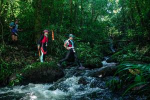 BIB: 
                            <button type="button" onclick="openModal(26772766)" class="btn btn-primary btn-sm float-right btn-popup" data-toggle="modal" data-target=".modal-high-quality">
                        <i class="fas fa-shopping-cart"></i> Add to Cart
                    </button>
                                            <button type="button" onclick="isThisMe(26772766, true)" class="btn btn-success btn-sm float-right btn-popup btn-isme hidden" data-toggle="tooltip" data-placement="bottom" title="นี่คือรูปของคุณใช่ไหม คลิกที่นี่เพื่อเอาเข้าอัลบั้ม">
                        <i class="fas fa-plus"></i> Add to album
                    </button>
                    <button type="button" onclick="isThisMe(26772766, false)" class="btn btn-warning btn-sm float-right btn-popup btn-isnotme hidden">
                        <i class="fas fa-ban"></i> Remove from album
                    </button>