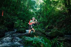 BIB: 
                            <button type="button" onclick="openModal(26773206)" class="btn btn-primary btn-sm float-right btn-popup" data-toggle="modal" data-target=".modal-high-quality">
                        <i class="fas fa-shopping-cart"></i> Add to Cart
                    </button>
                                            <button type="button" onclick="isThisMe(26773206, true)" class="btn btn-success btn-sm float-right btn-popup btn-isme hidden" data-toggle="tooltip" data-placement="bottom" title="นี่คือรูปของคุณใช่ไหม คลิกที่นี่เพื่อเอาเข้าอัลบั้ม">
                        <i class="fas fa-plus"></i> Add to album
                    </button>
                    <button type="button" onclick="isThisMe(26773206, false)" class="btn btn-warning btn-sm float-right btn-popup btn-isnotme hidden">
                        <i class="fas fa-ban"></i> Remove from album
                    </button>