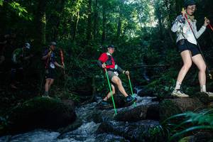 BIB: 
                            <button type="button" onclick="openModal(26778527)" class="btn btn-primary btn-sm float-right btn-popup" data-toggle="modal" data-target=".modal-high-quality">
                        <i class="fas fa-shopping-cart"></i> Add to Cart
                    </button>
                                            <button type="button" onclick="isThisMe(26778527, true)" class="btn btn-success btn-sm float-right btn-popup btn-isme hidden" data-toggle="tooltip" data-placement="bottom" title="นี่คือรูปของคุณใช่ไหม คลิกที่นี่เพื่อเอาเข้าอัลบั้ม">
                        <i class="fas fa-plus"></i> Add to album
                    </button>
                    <button type="button" onclick="isThisMe(26778527, false)" class="btn btn-warning btn-sm float-right btn-popup btn-isnotme hidden">
                        <i class="fas fa-ban"></i> Remove from album
                    </button>