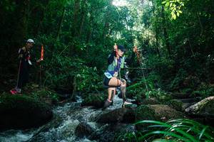 BIB: 
                            <button type="button" onclick="openModal(26781648)" class="btn btn-primary btn-sm float-right btn-popup" data-toggle="modal" data-target=".modal-high-quality">
                        <i class="fas fa-shopping-cart"></i> Add to Cart
                    </button>
                                            <button type="button" onclick="isThisMe(26781648, true)" class="btn btn-success btn-sm float-right btn-popup btn-isme hidden" data-toggle="tooltip" data-placement="bottom" title="นี่คือรูปของคุณใช่ไหม คลิกที่นี่เพื่อเอาเข้าอัลบั้ม">
                        <i class="fas fa-plus"></i> Add to album
                    </button>
                    <button type="button" onclick="isThisMe(26781648, false)" class="btn btn-warning btn-sm float-right btn-popup btn-isnotme hidden">
                        <i class="fas fa-ban"></i> Remove from album
                    </button>