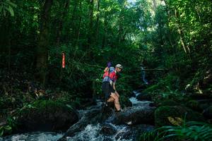 BIB: 
                            <button type="button" onclick="openModal(26699881)" class="btn btn-primary btn-sm float-right btn-popup" data-toggle="modal" data-target=".modal-high-quality">
                        <i class="fas fa-shopping-cart"></i> Add to Cart
                    </button>
                                            <button type="button" onclick="isThisMe(26699881, true)" class="btn btn-success btn-sm float-right btn-popup btn-isme hidden" data-toggle="tooltip" data-placement="bottom" title="นี่คือรูปของคุณใช่ไหม คลิกที่นี่เพื่อเอาเข้าอัลบั้ม">
                        <i class="fas fa-plus"></i> Add to album
                    </button>
                    <button type="button" onclick="isThisMe(26699881, false)" class="btn btn-warning btn-sm float-right btn-popup btn-isnotme hidden">
                        <i class="fas fa-ban"></i> Remove from album
                    </button>