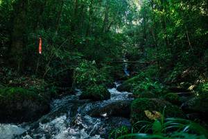 BIB: 
                            <button type="button" onclick="openModal(26701818)" class="btn btn-primary btn-sm float-right btn-popup" data-toggle="modal" data-target=".modal-high-quality">
                        <i class="fas fa-shopping-cart"></i> Add to Cart
                    </button>
                                            <button type="button" onclick="isThisMe(26701818, true)" class="btn btn-success btn-sm float-right btn-popup btn-isme hidden" data-toggle="tooltip" data-placement="bottom" title="นี่คือรูปของคุณใช่ไหม คลิกที่นี่เพื่อเอาเข้าอัลบั้ม">
                        <i class="fas fa-plus"></i> Add to album
                    </button>
                    <button type="button" onclick="isThisMe(26701818, false)" class="btn btn-warning btn-sm float-right btn-popup btn-isnotme hidden">
                        <i class="fas fa-ban"></i> Remove from album
                    </button>