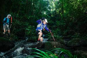 BIB: 
                            <button type="button" onclick="openModal(26780513)" class="btn btn-primary btn-sm float-right btn-popup" data-toggle="modal" data-target=".modal-high-quality">
                        <i class="fas fa-shopping-cart"></i> Add to Cart
                    </button>
                                            <button type="button" onclick="isThisMe(26780513, true)" class="btn btn-success btn-sm float-right btn-popup btn-isme hidden" data-toggle="tooltip" data-placement="bottom" title="นี่คือรูปของคุณใช่ไหม คลิกที่นี่เพื่อเอาเข้าอัลบั้ม">
                        <i class="fas fa-plus"></i> Add to album
                    </button>
                    <button type="button" onclick="isThisMe(26780513, false)" class="btn btn-warning btn-sm float-right btn-popup btn-isnotme hidden">
                        <i class="fas fa-ban"></i> Remove from album
                    </button>