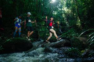 BIB: 
                            <button type="button" onclick="openModal(26775095)" class="btn btn-primary btn-sm float-right btn-popup" data-toggle="modal" data-target=".modal-high-quality">
                        <i class="fas fa-shopping-cart"></i> Add to Cart
                    </button>
                                            <button type="button" onclick="isThisMe(26775095, true)" class="btn btn-success btn-sm float-right btn-popup btn-isme hidden" data-toggle="tooltip" data-placement="bottom" title="นี่คือรูปของคุณใช่ไหม คลิกที่นี่เพื่อเอาเข้าอัลบั้ม">
                        <i class="fas fa-plus"></i> Add to album
                    </button>
                    <button type="button" onclick="isThisMe(26775095, false)" class="btn btn-warning btn-sm float-right btn-popup btn-isnotme hidden">
                        <i class="fas fa-ban"></i> Remove from album
                    </button>