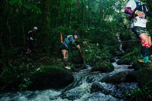 BIB: 
                            <button type="button" onclick="openModal(26781638)" class="btn btn-primary btn-sm float-right btn-popup" data-toggle="modal" data-target=".modal-high-quality">
                        <i class="fas fa-shopping-cart"></i> Add to Cart
                    </button>
                                            <button type="button" onclick="isThisMe(26781638, true)" class="btn btn-success btn-sm float-right btn-popup btn-isme hidden" data-toggle="tooltip" data-placement="bottom" title="นี่คือรูปของคุณใช่ไหม คลิกที่นี่เพื่อเอาเข้าอัลบั้ม">
                        <i class="fas fa-plus"></i> Add to album
                    </button>
                    <button type="button" onclick="isThisMe(26781638, false)" class="btn btn-warning btn-sm float-right btn-popup btn-isnotme hidden">
                        <i class="fas fa-ban"></i> Remove from album
                    </button>