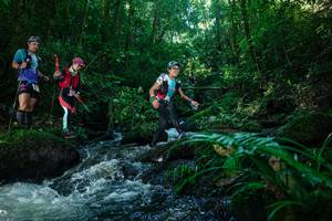 BIB: 
                            <button type="button" onclick="openModal(26772774)" class="btn btn-primary btn-sm float-right btn-popup" data-toggle="modal" data-target=".modal-high-quality">
                        <i class="fas fa-shopping-cart"></i> Add to Cart
                    </button>
                                            <button type="button" onclick="isThisMe(26772774, true)" class="btn btn-success btn-sm float-right btn-popup btn-isme hidden" data-toggle="tooltip" data-placement="bottom" title="นี่คือรูปของคุณใช่ไหม คลิกที่นี่เพื่อเอาเข้าอัลบั้ม">
                        <i class="fas fa-plus"></i> Add to album
                    </button>
                    <button type="button" onclick="isThisMe(26772774, false)" class="btn btn-warning btn-sm float-right btn-popup btn-isnotme hidden">
                        <i class="fas fa-ban"></i> Remove from album
                    </button>