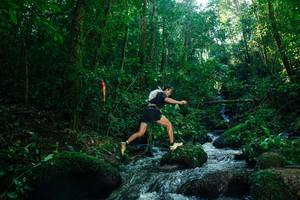 BIB: 
                            <button type="button" onclick="openModal(26780787)" class="btn btn-primary btn-sm float-right btn-popup" data-toggle="modal" data-target=".modal-high-quality">
                        <i class="fas fa-shopping-cart"></i> Add to Cart
                    </button>
                                            <button type="button" onclick="isThisMe(26780787, true)" class="btn btn-success btn-sm float-right btn-popup btn-isme hidden" data-toggle="tooltip" data-placement="bottom" title="นี่คือรูปของคุณใช่ไหม คลิกที่นี่เพื่อเอาเข้าอัลบั้ม">
                        <i class="fas fa-plus"></i> Add to album
                    </button>
                    <button type="button" onclick="isThisMe(26780787, false)" class="btn btn-warning btn-sm float-right btn-popup btn-isnotme hidden">
                        <i class="fas fa-ban"></i> Remove from album
                    </button>