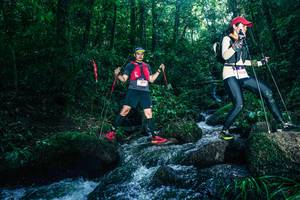 BIB: 
                            <button type="button" onclick="openModal(26779332)" class="btn btn-primary btn-sm float-right btn-popup" data-toggle="modal" data-target=".modal-high-quality">
                        <i class="fas fa-shopping-cart"></i> Add to Cart
                    </button>
                                            <button type="button" onclick="isThisMe(26779332, true)" class="btn btn-success btn-sm float-right btn-popup btn-isme hidden" data-toggle="tooltip" data-placement="bottom" title="นี่คือรูปของคุณใช่ไหม คลิกที่นี่เพื่อเอาเข้าอัลบั้ม">
                        <i class="fas fa-plus"></i> Add to album
                    </button>
                    <button type="button" onclick="isThisMe(26779332, false)" class="btn btn-warning btn-sm float-right btn-popup btn-isnotme hidden">
                        <i class="fas fa-ban"></i> Remove from album
                    </button>