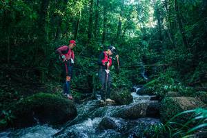 BIB: 
                            <button type="button" onclick="openModal(26778770)" class="btn btn-primary btn-sm float-right btn-popup" data-toggle="modal" data-target=".modal-high-quality">
                        <i class="fas fa-shopping-cart"></i> Add to Cart
                    </button>
                                            <button type="button" onclick="isThisMe(26778770, true)" class="btn btn-success btn-sm float-right btn-popup btn-isme hidden" data-toggle="tooltip" data-placement="bottom" title="นี่คือรูปของคุณใช่ไหม คลิกที่นี่เพื่อเอาเข้าอัลบั้ม">
                        <i class="fas fa-plus"></i> Add to album
                    </button>
                    <button type="button" onclick="isThisMe(26778770, false)" class="btn btn-warning btn-sm float-right btn-popup btn-isnotme hidden">
                        <i class="fas fa-ban"></i> Remove from album
                    </button>