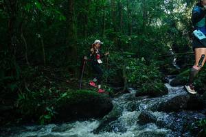 BIB: 
                            <button type="button" onclick="openModal(26781649)" class="btn btn-primary btn-sm float-right btn-popup" data-toggle="modal" data-target=".modal-high-quality">
                        <i class="fas fa-shopping-cart"></i> Add to Cart
                    </button>
                                            <button type="button" onclick="isThisMe(26781649, true)" class="btn btn-success btn-sm float-right btn-popup btn-isme hidden" data-toggle="tooltip" data-placement="bottom" title="นี่คือรูปของคุณใช่ไหม คลิกที่นี่เพื่อเอาเข้าอัลบั้ม">
                        <i class="fas fa-plus"></i> Add to album
                    </button>
                    <button type="button" onclick="isThisMe(26781649, false)" class="btn btn-warning btn-sm float-right btn-popup btn-isnotme hidden">
                        <i class="fas fa-ban"></i> Remove from album
                    </button>