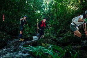 BIB: 
                            <button type="button" onclick="openModal(26774151)" class="btn btn-primary btn-sm float-right btn-popup" data-toggle="modal" data-target=".modal-high-quality">
                        <i class="fas fa-shopping-cart"></i> Add to Cart
                    </button>
                                            <button type="button" onclick="isThisMe(26774151, true)" class="btn btn-success btn-sm float-right btn-popup btn-isme hidden" data-toggle="tooltip" data-placement="bottom" title="นี่คือรูปของคุณใช่ไหม คลิกที่นี่เพื่อเอาเข้าอัลบั้ม">
                        <i class="fas fa-plus"></i> Add to album
                    </button>
                    <button type="button" onclick="isThisMe(26774151, false)" class="btn btn-warning btn-sm float-right btn-popup btn-isnotme hidden">
                        <i class="fas fa-ban"></i> Remove from album
                    </button>