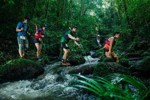 BIB: 
                            <button type="button" onclick="openModal(26775013)" class="btn btn-primary btn-sm float-right btn-popup" data-toggle="modal" data-target=".modal-high-quality">
                        <i class="fas fa-shopping-cart"></i> Add to Cart
                    </button>
                                            <button type="button" onclick="isThisMe(26775013, true)" class="btn btn-success btn-sm float-right btn-popup btn-isme hidden" data-toggle="tooltip" data-placement="bottom" title="นี่คือรูปของคุณใช่ไหม คลิกที่นี่เพื่อเอาเข้าอัลบั้ม">
                        <i class="fas fa-plus"></i> Add to album
                    </button>
                    <button type="button" onclick="isThisMe(26775013, false)" class="btn btn-warning btn-sm float-right btn-popup btn-isnotme hidden">
                        <i class="fas fa-ban"></i> Remove from album
                    </button>