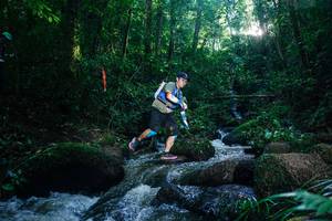 BIB: 
                            <button type="button" onclick="openModal(26778288)" class="btn btn-primary btn-sm float-right btn-popup" data-toggle="modal" data-target=".modal-high-quality">
                        <i class="fas fa-shopping-cart"></i> Add to Cart
                    </button>
                                            <button type="button" onclick="isThisMe(26778288, true)" class="btn btn-success btn-sm float-right btn-popup btn-isme hidden" data-toggle="tooltip" data-placement="bottom" title="นี่คือรูปของคุณใช่ไหม คลิกที่นี่เพื่อเอาเข้าอัลบั้ม">
                        <i class="fas fa-plus"></i> Add to album
                    </button>
                    <button type="button" onclick="isThisMe(26778288, false)" class="btn btn-warning btn-sm float-right btn-popup btn-isnotme hidden">
                        <i class="fas fa-ban"></i> Remove from album
                    </button>