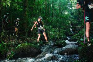 BIB: 
                            <button type="button" onclick="openModal(26780055)" class="btn btn-primary btn-sm float-right btn-popup" data-toggle="modal" data-target=".modal-high-quality">
                        <i class="fas fa-shopping-cart"></i> Add to Cart
                    </button>
                                            <button type="button" onclick="isThisMe(26780055, true)" class="btn btn-success btn-sm float-right btn-popup btn-isme hidden" data-toggle="tooltip" data-placement="bottom" title="นี่คือรูปของคุณใช่ไหม คลิกที่นี่เพื่อเอาเข้าอัลบั้ม">
                        <i class="fas fa-plus"></i> Add to album
                    </button>
                    <button type="button" onclick="isThisMe(26780055, false)" class="btn btn-warning btn-sm float-right btn-popup btn-isnotme hidden">
                        <i class="fas fa-ban"></i> Remove from album
                    </button>