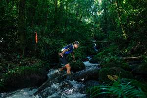 BIB: 
                            <button type="button" onclick="openModal(26700388)" class="btn btn-primary btn-sm float-right btn-popup" data-toggle="modal" data-target=".modal-high-quality">
                        <i class="fas fa-shopping-cart"></i> Add to Cart
                    </button>
                                            <button type="button" onclick="isThisMe(26700388, true)" class="btn btn-success btn-sm float-right btn-popup btn-isme hidden" data-toggle="tooltip" data-placement="bottom" title="นี่คือรูปของคุณใช่ไหม คลิกที่นี่เพื่อเอาเข้าอัลบั้ม">
                        <i class="fas fa-plus"></i> Add to album
                    </button>
                    <button type="button" onclick="isThisMe(26700388, false)" class="btn btn-warning btn-sm float-right btn-popup btn-isnotme hidden">
                        <i class="fas fa-ban"></i> Remove from album
                    </button>