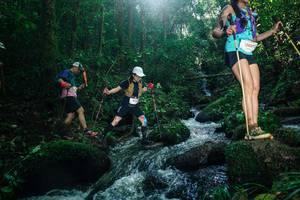 BIB: 
                            <button type="button" onclick="openModal(26780977)" class="btn btn-primary btn-sm float-right btn-popup" data-toggle="modal" data-target=".modal-high-quality">
                        <i class="fas fa-shopping-cart"></i> Add to Cart
                    </button>
                                            <button type="button" onclick="isThisMe(26780977, true)" class="btn btn-success btn-sm float-right btn-popup btn-isme hidden" data-toggle="tooltip" data-placement="bottom" title="นี่คือรูปของคุณใช่ไหม คลิกที่นี่เพื่อเอาเข้าอัลบั้ม">
                        <i class="fas fa-plus"></i> Add to album
                    </button>
                    <button type="button" onclick="isThisMe(26780977, false)" class="btn btn-warning btn-sm float-right btn-popup btn-isnotme hidden">
                        <i class="fas fa-ban"></i> Remove from album
                    </button>