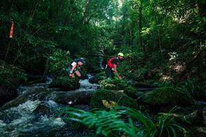 BIB: 
                            <button type="button" onclick="openModal(26772496)" class="btn btn-primary btn-sm float-right btn-popup" data-toggle="modal" data-target=".modal-high-quality">
                        <i class="fas fa-shopping-cart"></i> Add to Cart
                    </button>
                                            <button type="button" onclick="isThisMe(26772496, true)" class="btn btn-success btn-sm float-right btn-popup btn-isme hidden" data-toggle="tooltip" data-placement="bottom" title="นี่คือรูปของคุณใช่ไหม คลิกที่นี่เพื่อเอาเข้าอัลบั้ม">
                        <i class="fas fa-plus"></i> Add to album
                    </button>
                    <button type="button" onclick="isThisMe(26772496, false)" class="btn btn-warning btn-sm float-right btn-popup btn-isnotme hidden">
                        <i class="fas fa-ban"></i> Remove from album
                    </button>