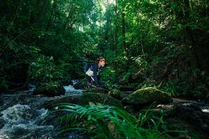 BIB: 
                            <button type="button" onclick="openModal(26756209)" class="btn btn-primary btn-sm float-right btn-popup" data-toggle="modal" data-target=".modal-high-quality">
                        <i class="fas fa-shopping-cart"></i> Add to Cart
                    </button>
                                            <button type="button" onclick="isThisMe(26756209, true)" class="btn btn-success btn-sm float-right btn-popup btn-isme hidden" data-toggle="tooltip" data-placement="bottom" title="นี่คือรูปของคุณใช่ไหม คลิกที่นี่เพื่อเอาเข้าอัลบั้ม">
                        <i class="fas fa-plus"></i> Add to album
                    </button>
                    <button type="button" onclick="isThisMe(26756209, false)" class="btn btn-warning btn-sm float-right btn-popup btn-isnotme hidden">
                        <i class="fas fa-ban"></i> Remove from album
                    </button>