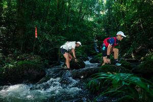 BIB: 
                            <button type="button" onclick="openModal(26701673)" class="btn btn-primary btn-sm float-right btn-popup" data-toggle="modal" data-target=".modal-high-quality">
                        <i class="fas fa-shopping-cart"></i> Add to Cart
                    </button>
                                            <button type="button" onclick="isThisMe(26701673, true)" class="btn btn-success btn-sm float-right btn-popup btn-isme hidden" data-toggle="tooltip" data-placement="bottom" title="นี่คือรูปของคุณใช่ไหม คลิกที่นี่เพื่อเอาเข้าอัลบั้ม">
                        <i class="fas fa-plus"></i> Add to album
                    </button>
                    <button type="button" onclick="isThisMe(26701673, false)" class="btn btn-warning btn-sm float-right btn-popup btn-isnotme hidden">
                        <i class="fas fa-ban"></i> Remove from album
                    </button>