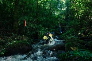 BIB: 
                            <button type="button" onclick="openModal(26699729)" class="btn btn-primary btn-sm float-right btn-popup" data-toggle="modal" data-target=".modal-high-quality">
                        <i class="fas fa-shopping-cart"></i> Add to Cart
                    </button>
                                            <button type="button" onclick="isThisMe(26699729, true)" class="btn btn-success btn-sm float-right btn-popup btn-isme hidden" data-toggle="tooltip" data-placement="bottom" title="นี่คือรูปของคุณใช่ไหม คลิกที่นี่เพื่อเอาเข้าอัลบั้ม">
                        <i class="fas fa-plus"></i> Add to album
                    </button>
                    <button type="button" onclick="isThisMe(26699729, false)" class="btn btn-warning btn-sm float-right btn-popup btn-isnotme hidden">
                        <i class="fas fa-ban"></i> Remove from album
                    </button>