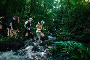 BIB: 
                            <button type="button" onclick="openModal(26773727)" class="btn btn-primary btn-sm float-right btn-popup" data-toggle="modal" data-target=".modal-high-quality">
                        <i class="fas fa-shopping-cart"></i> Add to Cart
                    </button>
                                            <button type="button" onclick="isThisMe(26773727, true)" class="btn btn-success btn-sm float-right btn-popup btn-isme hidden" data-toggle="tooltip" data-placement="bottom" title="นี่คือรูปของคุณใช่ไหม คลิกที่นี่เพื่อเอาเข้าอัลบั้ม">
                        <i class="fas fa-plus"></i> Add to album
                    </button>
                    <button type="button" onclick="isThisMe(26773727, false)" class="btn btn-warning btn-sm float-right btn-popup btn-isnotme hidden">
                        <i class="fas fa-ban"></i> Remove from album
                    </button>