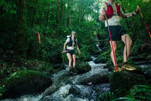 BIB: 
                            <button type="button" onclick="openModal(26780200)" class="btn btn-primary btn-sm float-right btn-popup" data-toggle="modal" data-target=".modal-high-quality">
                        <i class="fas fa-shopping-cart"></i> Add to Cart
                    </button>
                                            <button type="button" onclick="isThisMe(26780200, true)" class="btn btn-success btn-sm float-right btn-popup btn-isme hidden" data-toggle="tooltip" data-placement="bottom" title="นี่คือรูปของคุณใช่ไหม คลิกที่นี่เพื่อเอาเข้าอัลบั้ม">
                        <i class="fas fa-plus"></i> Add to album
                    </button>
                    <button type="button" onclick="isThisMe(26780200, false)" class="btn btn-warning btn-sm float-right btn-popup btn-isnotme hidden">
                        <i class="fas fa-ban"></i> Remove from album
                    </button>