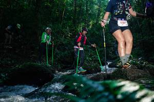 BIB: 
                            <button type="button" onclick="openModal(26778040)" class="btn btn-primary btn-sm float-right btn-popup" data-toggle="modal" data-target=".modal-high-quality">
                        <i class="fas fa-shopping-cart"></i> Add to Cart
                    </button>
                                            <button type="button" onclick="isThisMe(26778040, true)" class="btn btn-success btn-sm float-right btn-popup btn-isme hidden" data-toggle="tooltip" data-placement="bottom" title="นี่คือรูปของคุณใช่ไหม คลิกที่นี่เพื่อเอาเข้าอัลบั้ม">
                        <i class="fas fa-plus"></i> Add to album
                    </button>
                    <button type="button" onclick="isThisMe(26778040, false)" class="btn btn-warning btn-sm float-right btn-popup btn-isnotme hidden">
                        <i class="fas fa-ban"></i> Remove from album
                    </button>