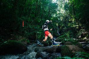 BIB: 
                            <button type="button" onclick="openModal(26775568)" class="btn btn-primary btn-sm float-right btn-popup" data-toggle="modal" data-target=".modal-high-quality">
                        <i class="fas fa-shopping-cart"></i> Add to Cart
                    </button>
                                            <button type="button" onclick="isThisMe(26775568, true)" class="btn btn-success btn-sm float-right btn-popup btn-isme hidden" data-toggle="tooltip" data-placement="bottom" title="นี่คือรูปของคุณใช่ไหม คลิกที่นี่เพื่อเอาเข้าอัลบั้ม">
                        <i class="fas fa-plus"></i> Add to album
                    </button>
                    <button type="button" onclick="isThisMe(26775568, false)" class="btn btn-warning btn-sm float-right btn-popup btn-isnotme hidden">
                        <i class="fas fa-ban"></i> Remove from album
                    </button>