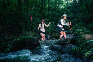 BIB: 
                            <button type="button" onclick="openModal(26778898)" class="btn btn-primary btn-sm float-right btn-popup" data-toggle="modal" data-target=".modal-high-quality">
                        <i class="fas fa-shopping-cart"></i> Add to Cart
                    </button>
                                            <button type="button" onclick="isThisMe(26778898, true)" class="btn btn-success btn-sm float-right btn-popup btn-isme hidden" data-toggle="tooltip" data-placement="bottom" title="นี่คือรูปของคุณใช่ไหม คลิกที่นี่เพื่อเอาเข้าอัลบั้ม">
                        <i class="fas fa-plus"></i> Add to album
                    </button>
                    <button type="button" onclick="isThisMe(26778898, false)" class="btn btn-warning btn-sm float-right btn-popup btn-isnotme hidden">
                        <i class="fas fa-ban"></i> Remove from album
                    </button>