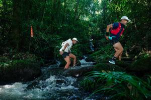 BIB: 
                            <button type="button" onclick="openModal(26701691)" class="btn btn-primary btn-sm float-right btn-popup" data-toggle="modal" data-target=".modal-high-quality">
                        <i class="fas fa-shopping-cart"></i> Add to Cart
                    </button>
                                            <button type="button" onclick="isThisMe(26701691, true)" class="btn btn-success btn-sm float-right btn-popup btn-isme hidden" data-toggle="tooltip" data-placement="bottom" title="นี่คือรูปของคุณใช่ไหม คลิกที่นี่เพื่อเอาเข้าอัลบั้ม">
                        <i class="fas fa-plus"></i> Add to album
                    </button>
                    <button type="button" onclick="isThisMe(26701691, false)" class="btn btn-warning btn-sm float-right btn-popup btn-isnotme hidden">
                        <i class="fas fa-ban"></i> Remove from album
                    </button>