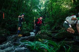 BIB: 
                            <button type="button" onclick="openModal(26774149)" class="btn btn-primary btn-sm float-right btn-popup" data-toggle="modal" data-target=".modal-high-quality">
                        <i class="fas fa-shopping-cart"></i> Add to Cart
                    </button>
                                            <button type="button" onclick="isThisMe(26774149, true)" class="btn btn-success btn-sm float-right btn-popup btn-isme hidden" data-toggle="tooltip" data-placement="bottom" title="นี่คือรูปของคุณใช่ไหม คลิกที่นี่เพื่อเอาเข้าอัลบั้ม">
                        <i class="fas fa-plus"></i> Add to album
                    </button>
                    <button type="button" onclick="isThisMe(26774149, false)" class="btn btn-warning btn-sm float-right btn-popup btn-isnotme hidden">
                        <i class="fas fa-ban"></i> Remove from album
                    </button>