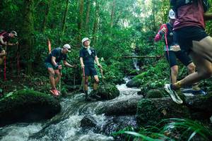 BIB: 
                            <button type="button" onclick="openModal(26780733)" class="btn btn-primary btn-sm float-right btn-popup" data-toggle="modal" data-target=".modal-high-quality">
                        <i class="fas fa-shopping-cart"></i> Add to Cart
                    </button>
                                            <button type="button" onclick="isThisMe(26780733, true)" class="btn btn-success btn-sm float-right btn-popup btn-isme hidden" data-toggle="tooltip" data-placement="bottom" title="นี่คือรูปของคุณใช่ไหม คลิกที่นี่เพื่อเอาเข้าอัลบั้ม">
                        <i class="fas fa-plus"></i> Add to album
                    </button>
                    <button type="button" onclick="isThisMe(26780733, false)" class="btn btn-warning btn-sm float-right btn-popup btn-isnotme hidden">
                        <i class="fas fa-ban"></i> Remove from album
                    </button>