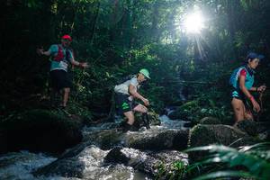 BIB: 
                            <button type="button" onclick="openModal(26776738)" class="btn btn-primary btn-sm float-right btn-popup" data-toggle="modal" data-target=".modal-high-quality">
                        <i class="fas fa-shopping-cart"></i> Add to Cart
                    </button>
                                            <button type="button" onclick="isThisMe(26776738, true)" class="btn btn-success btn-sm float-right btn-popup btn-isme hidden" data-toggle="tooltip" data-placement="bottom" title="นี่คือรูปของคุณใช่ไหม คลิกที่นี่เพื่อเอาเข้าอัลบั้ม">
                        <i class="fas fa-plus"></i> Add to album
                    </button>
                    <button type="button" onclick="isThisMe(26776738, false)" class="btn btn-warning btn-sm float-right btn-popup btn-isnotme hidden">
                        <i class="fas fa-ban"></i> Remove from album
                    </button>