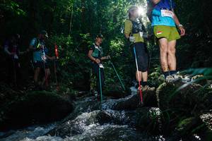 BIB: 
                            <button type="button" onclick="openModal(26776245)" class="btn btn-primary btn-sm float-right btn-popup" data-toggle="modal" data-target=".modal-high-quality">
                        <i class="fas fa-shopping-cart"></i> Add to Cart
                    </button>
                                            <button type="button" onclick="isThisMe(26776245, true)" class="btn btn-success btn-sm float-right btn-popup btn-isme hidden" data-toggle="tooltip" data-placement="bottom" title="นี่คือรูปของคุณใช่ไหม คลิกที่นี่เพื่อเอาเข้าอัลบั้ม">
                        <i class="fas fa-plus"></i> Add to album
                    </button>
                    <button type="button" onclick="isThisMe(26776245, false)" class="btn btn-warning btn-sm float-right btn-popup btn-isnotme hidden">
                        <i class="fas fa-ban"></i> Remove from album
                    </button>