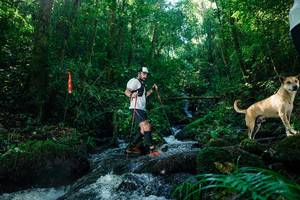 BIB: 
                            <button type="button" onclick="openModal(26756164)" class="btn btn-primary btn-sm float-right btn-popup" data-toggle="modal" data-target=".modal-high-quality">
                        <i class="fas fa-shopping-cart"></i> Add to Cart
                    </button>
                                            <button type="button" onclick="isThisMe(26756164, true)" class="btn btn-success btn-sm float-right btn-popup btn-isme hidden" data-toggle="tooltip" data-placement="bottom" title="นี่คือรูปของคุณใช่ไหม คลิกที่นี่เพื่อเอาเข้าอัลบั้ม">
                        <i class="fas fa-plus"></i> Add to album
                    </button>
                    <button type="button" onclick="isThisMe(26756164, false)" class="btn btn-warning btn-sm float-right btn-popup btn-isnotme hidden">
                        <i class="fas fa-ban"></i> Remove from album
                    </button>