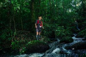 BIB: 
                            <button type="button" onclick="openModal(26774354)" class="btn btn-primary btn-sm float-right btn-popup" data-toggle="modal" data-target=".modal-high-quality">
                        <i class="fas fa-shopping-cart"></i> Add to Cart
                    </button>
                                            <button type="button" onclick="isThisMe(26774354, true)" class="btn btn-success btn-sm float-right btn-popup btn-isme hidden" data-toggle="tooltip" data-placement="bottom" title="นี่คือรูปของคุณใช่ไหม คลิกที่นี่เพื่อเอาเข้าอัลบั้ม">
                        <i class="fas fa-plus"></i> Add to album
                    </button>
                    <button type="button" onclick="isThisMe(26774354, false)" class="btn btn-warning btn-sm float-right btn-popup btn-isnotme hidden">
                        <i class="fas fa-ban"></i> Remove from album
                    </button>