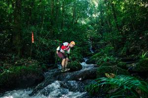 BIB: 
                            <button type="button" onclick="openModal(26727968)" class="btn btn-primary btn-sm float-right btn-popup" data-toggle="modal" data-target=".modal-high-quality">
                        <i class="fas fa-shopping-cart"></i> Add to Cart
                    </button>
                                            <button type="button" onclick="isThisMe(26727968, true)" class="btn btn-success btn-sm float-right btn-popup btn-isme hidden" data-toggle="tooltip" data-placement="bottom" title="นี่คือรูปของคุณใช่ไหม คลิกที่นี่เพื่อเอาเข้าอัลบั้ม">
                        <i class="fas fa-plus"></i> Add to album
                    </button>
                    <button type="button" onclick="isThisMe(26727968, false)" class="btn btn-warning btn-sm float-right btn-popup btn-isnotme hidden">
                        <i class="fas fa-ban"></i> Remove from album
                    </button>