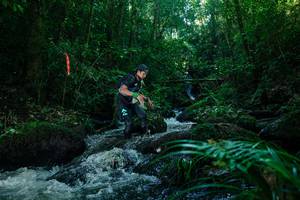 BIB: 
                            <button type="button" onclick="openModal(26774062)" class="btn btn-primary btn-sm float-right btn-popup" data-toggle="modal" data-target=".modal-high-quality">
                        <i class="fas fa-shopping-cart"></i> Add to Cart
                    </button>
                                            <button type="button" onclick="isThisMe(26774062, true)" class="btn btn-success btn-sm float-right btn-popup btn-isme hidden" data-toggle="tooltip" data-placement="bottom" title="นี่คือรูปของคุณใช่ไหม คลิกที่นี่เพื่อเอาเข้าอัลบั้ม">
                        <i class="fas fa-plus"></i> Add to album
                    </button>
                    <button type="button" onclick="isThisMe(26774062, false)" class="btn btn-warning btn-sm float-right btn-popup btn-isnotme hidden">
                        <i class="fas fa-ban"></i> Remove from album
                    </button>