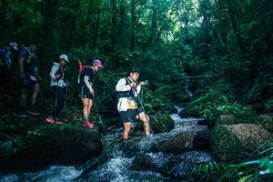 BIB: 
                            <button type="button" onclick="openModal(26779847)" class="btn btn-primary btn-sm float-right btn-popup" data-toggle="modal" data-target=".modal-high-quality">
                        <i class="fas fa-shopping-cart"></i> Add to Cart
                    </button>
                                            <button type="button" onclick="isThisMe(26779847, true)" class="btn btn-success btn-sm float-right btn-popup btn-isme hidden" data-toggle="tooltip" data-placement="bottom" title="นี่คือรูปของคุณใช่ไหม คลิกที่นี่เพื่อเอาเข้าอัลบั้ม">
                        <i class="fas fa-plus"></i> Add to album
                    </button>
                    <button type="button" onclick="isThisMe(26779847, false)" class="btn btn-warning btn-sm float-right btn-popup btn-isnotme hidden">
                        <i class="fas fa-ban"></i> Remove from album
                    </button>