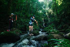 BIB: 
                            <button type="button" onclick="openModal(26781641)" class="btn btn-primary btn-sm float-right btn-popup" data-toggle="modal" data-target=".modal-high-quality">
                        <i class="fas fa-shopping-cart"></i> Add to Cart
                    </button>
                                            <button type="button" onclick="isThisMe(26781641, true)" class="btn btn-success btn-sm float-right btn-popup btn-isme hidden" data-toggle="tooltip" data-placement="bottom" title="นี่คือรูปของคุณใช่ไหม คลิกที่นี่เพื่อเอาเข้าอัลบั้ม">
                        <i class="fas fa-plus"></i> Add to album
                    </button>
                    <button type="button" onclick="isThisMe(26781641, false)" class="btn btn-warning btn-sm float-right btn-popup btn-isnotme hidden">
                        <i class="fas fa-ban"></i> Remove from album
                    </button>