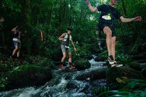 BIB: 
                            <button type="button" onclick="openModal(26774958)" class="btn btn-primary btn-sm float-right btn-popup" data-toggle="modal" data-target=".modal-high-quality">
                        <i class="fas fa-shopping-cart"></i> Add to Cart
                    </button>
                                            <button type="button" onclick="isThisMe(26774958, true)" class="btn btn-success btn-sm float-right btn-popup btn-isme hidden" data-toggle="tooltip" data-placement="bottom" title="นี่คือรูปของคุณใช่ไหม คลิกที่นี่เพื่อเอาเข้าอัลบั้ม">
                        <i class="fas fa-plus"></i> Add to album
                    </button>
                    <button type="button" onclick="isThisMe(26774958, false)" class="btn btn-warning btn-sm float-right btn-popup btn-isnotme hidden">
                        <i class="fas fa-ban"></i> Remove from album
                    </button>